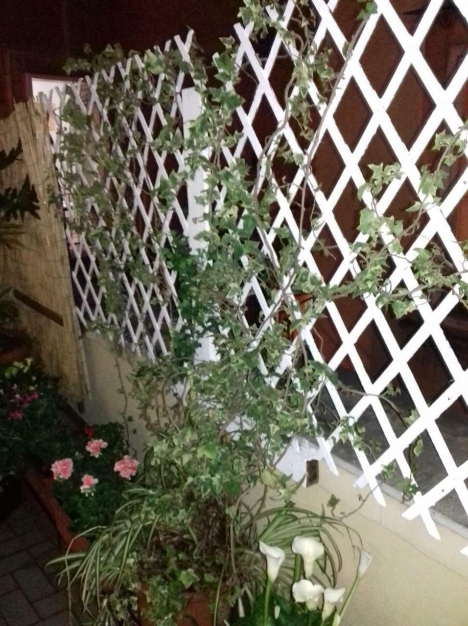 Bed and Breakfast La Terrazza Di Dante Neapel Exterior foto